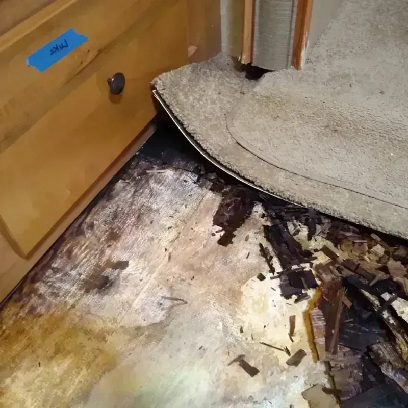 Best Wood Floor Water Damage Service in Lincoln Park, MI